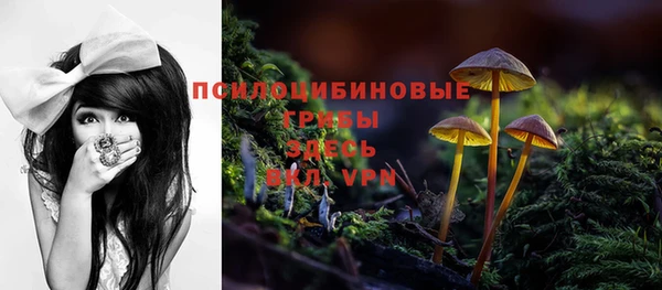 jwh Новый Уренгой