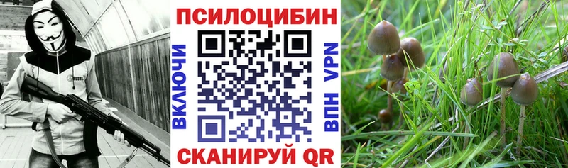 Галлюциногенные грибы MAGIC MUSHROOMS  Сосновый Бор 