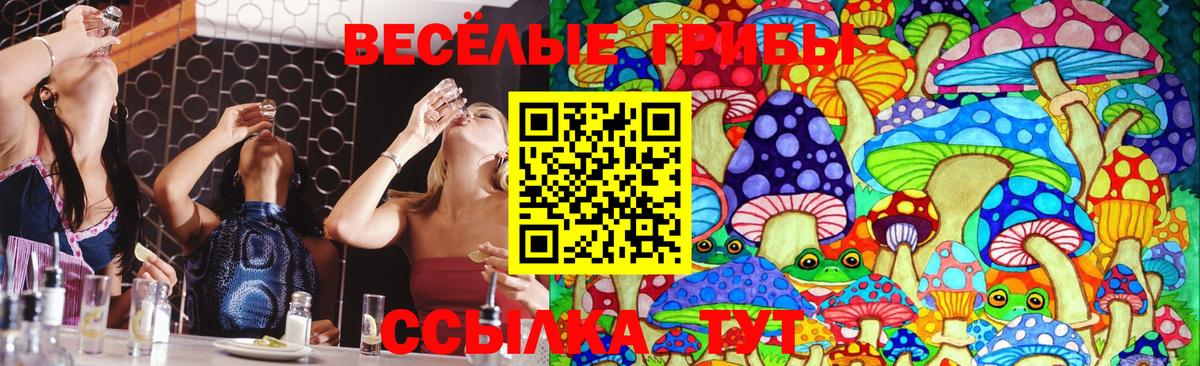 Псилоцибиновые грибы GOLDEN TEACHER  Сосновый Бор  купить наркотики цена  Псилоцибиновые грибы прущие грибы 