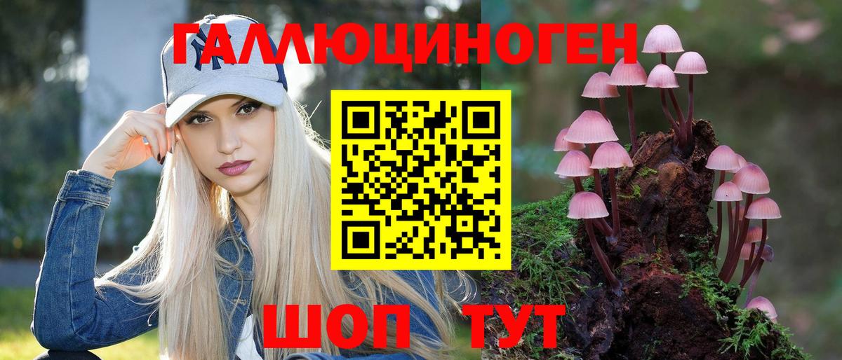 Псилоцибиновые грибы MAGIC MUSHROOMS Сосновый Бор